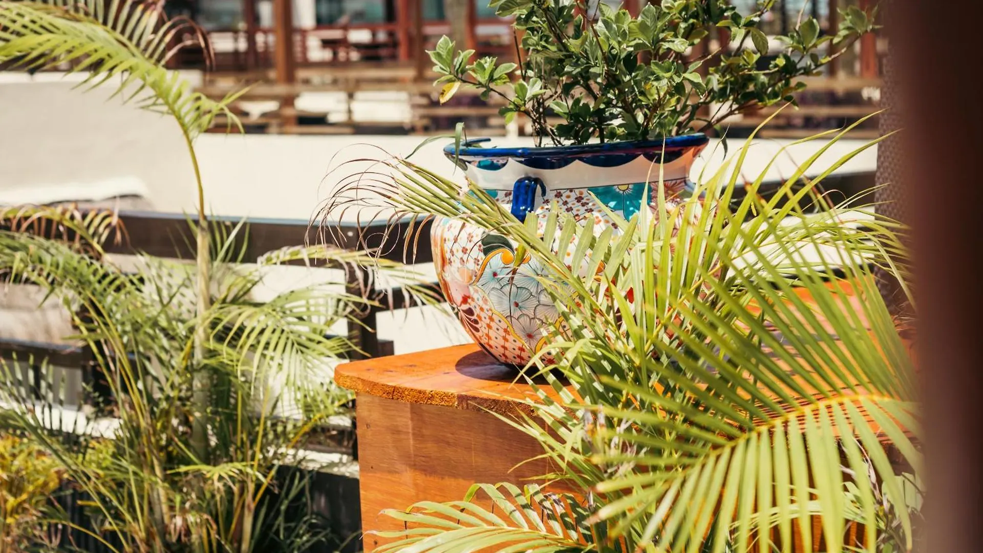 Aldea Thai Playa del Carmen Appartement